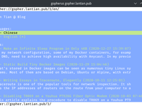 Illustration for Setting up Gopher Site with Nginx