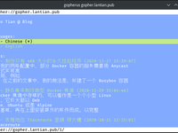 用 nginx 建立 Gopher 网站 的插图